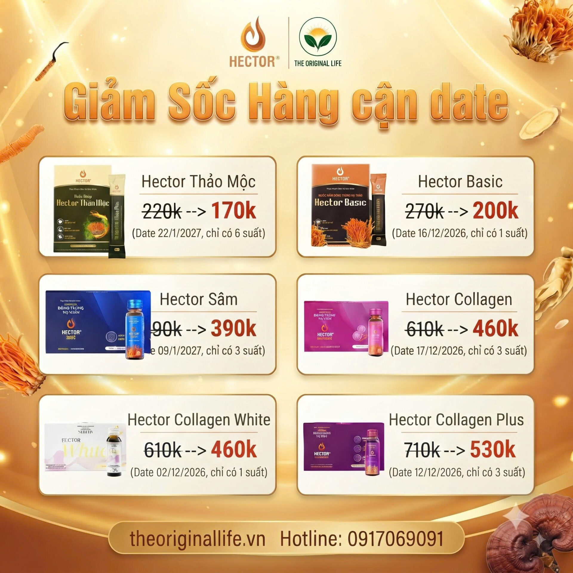 Săn Deal Ưu Đãi Tháng 10 Tại TOL – Bỏ Túi Sản Phẩm Sống Lành Mạnh